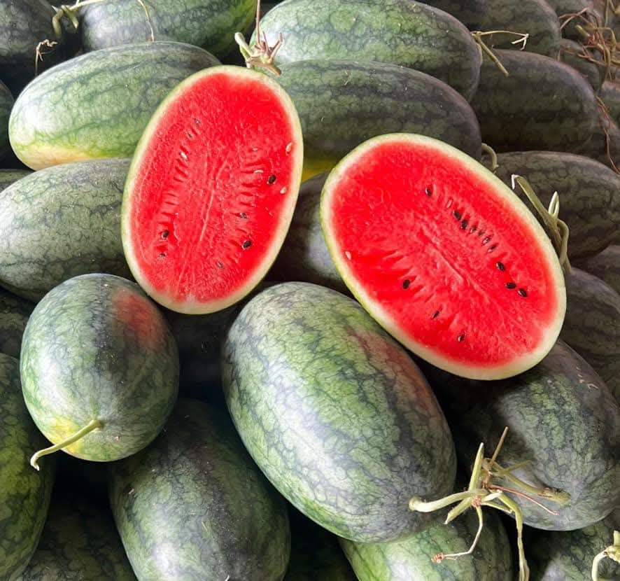 Seize the vibrant spirit of Long An Travel